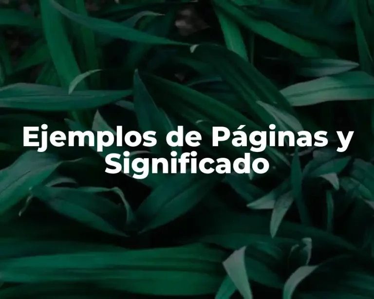 Ejemplos de Páginas y Significado