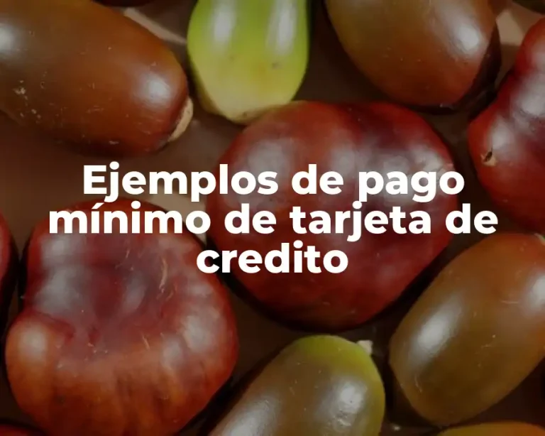Ejemplos de pago mínimo de tarjeta de credito