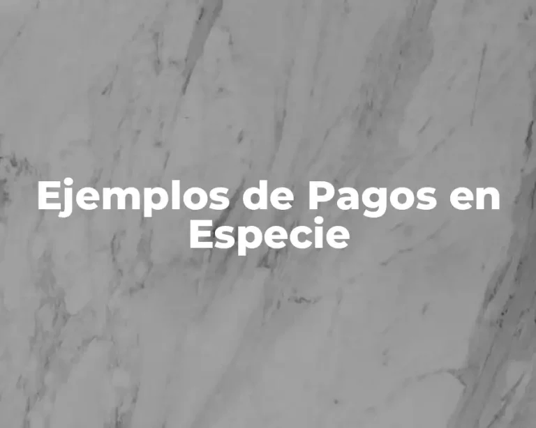 Ejemplos de Pagos en Especie