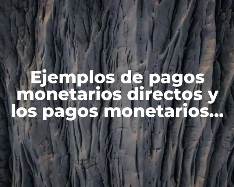 Ejemplos de pagos monetarios directos y los pagos monetarios indirectos