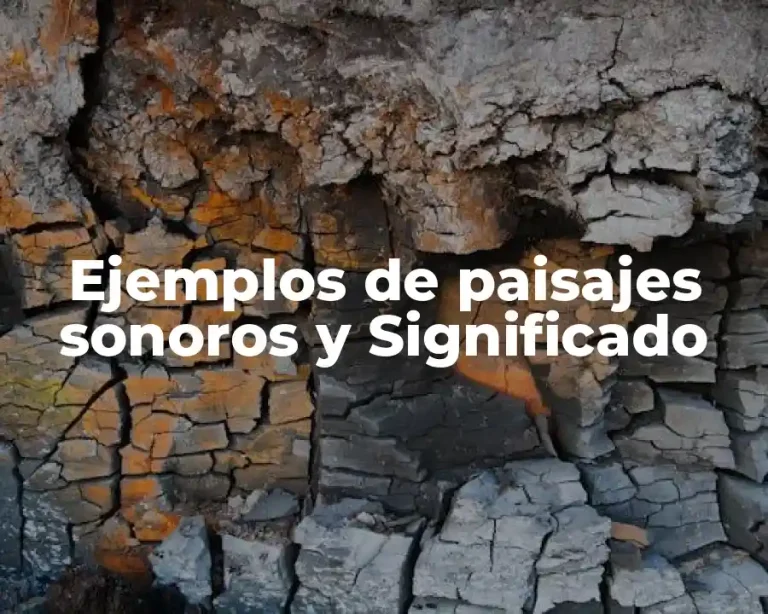 Ejemplos de paisajes sonoros y Significado