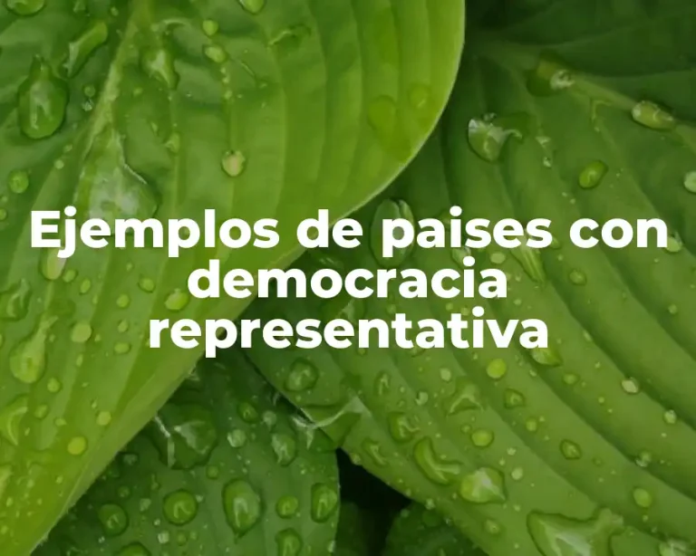 Ejemplos de paises con democracia representativa