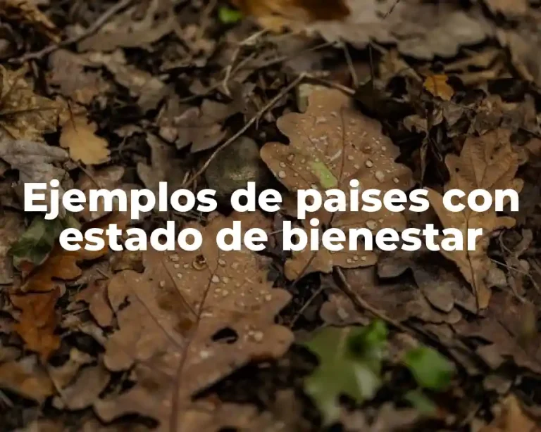 Ejemplos de paises con estado de bienestar