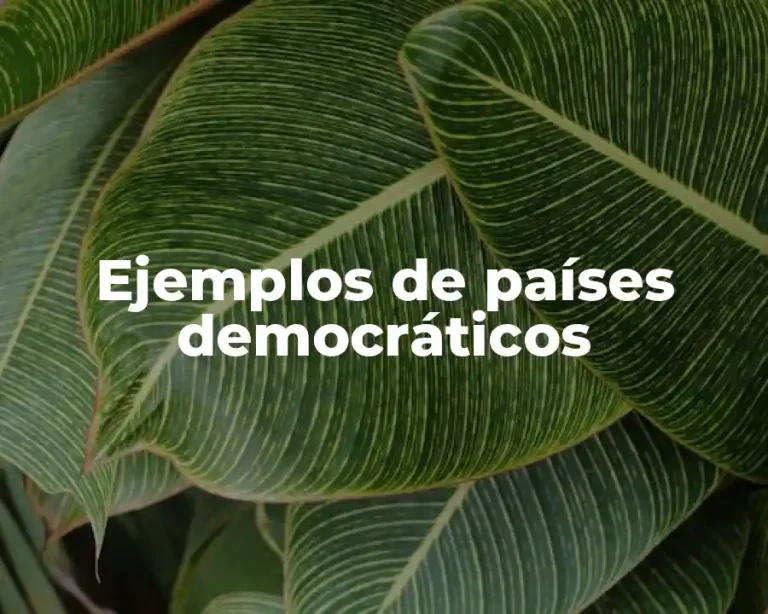 Ejemplos de países democráticos
