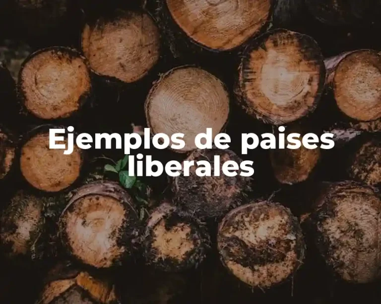 Ejemplos de paises liberales