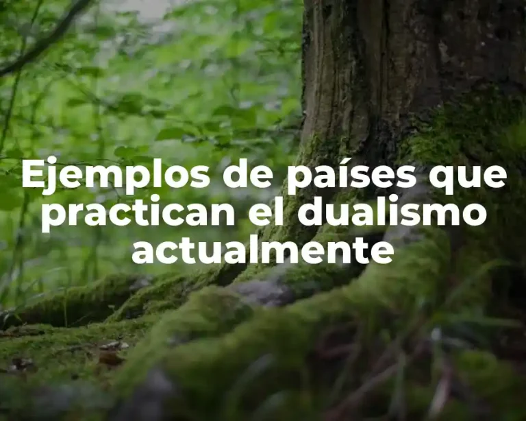 Ejemplos de países que practican el dualismo actualmente