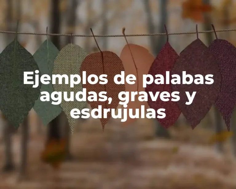 Ejemplos de palabas agudas, graves y esdrujulas