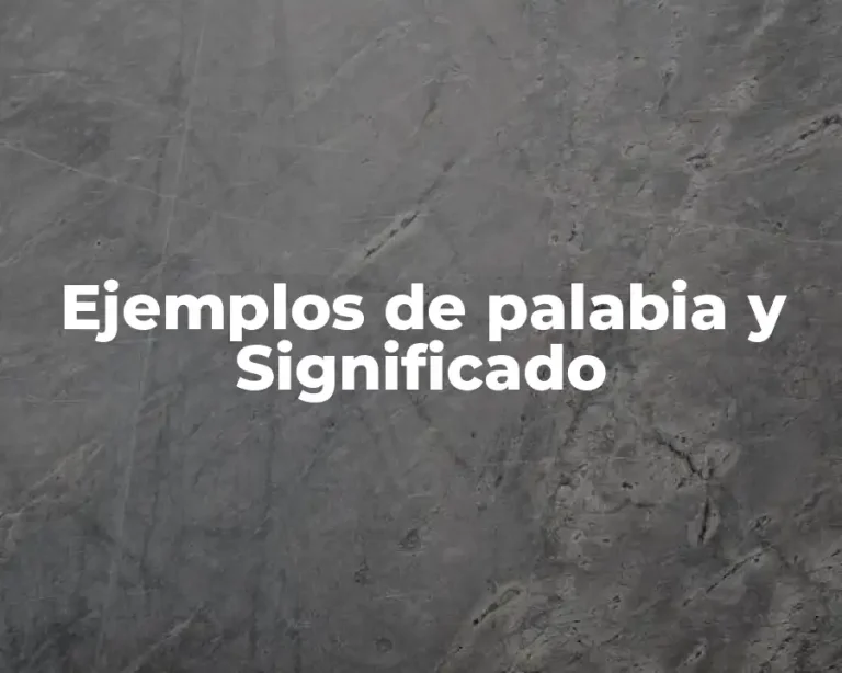 Ejemplos de palabia y Significado