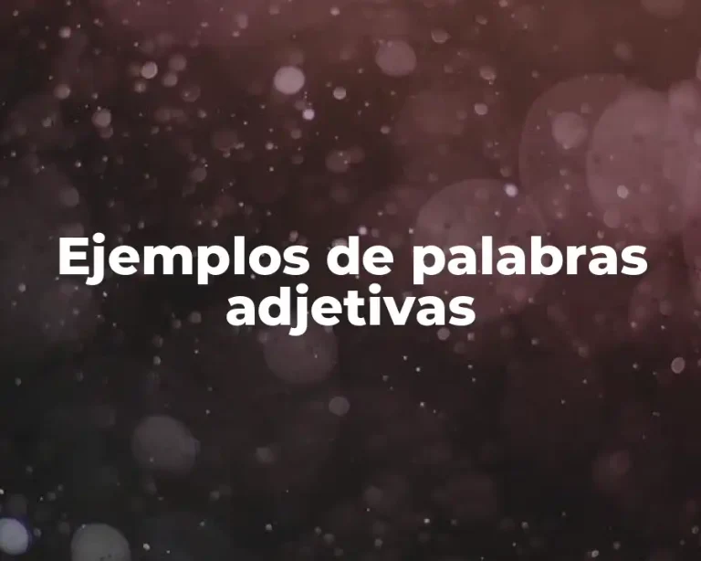 Ejemplos de palabras adjetivas