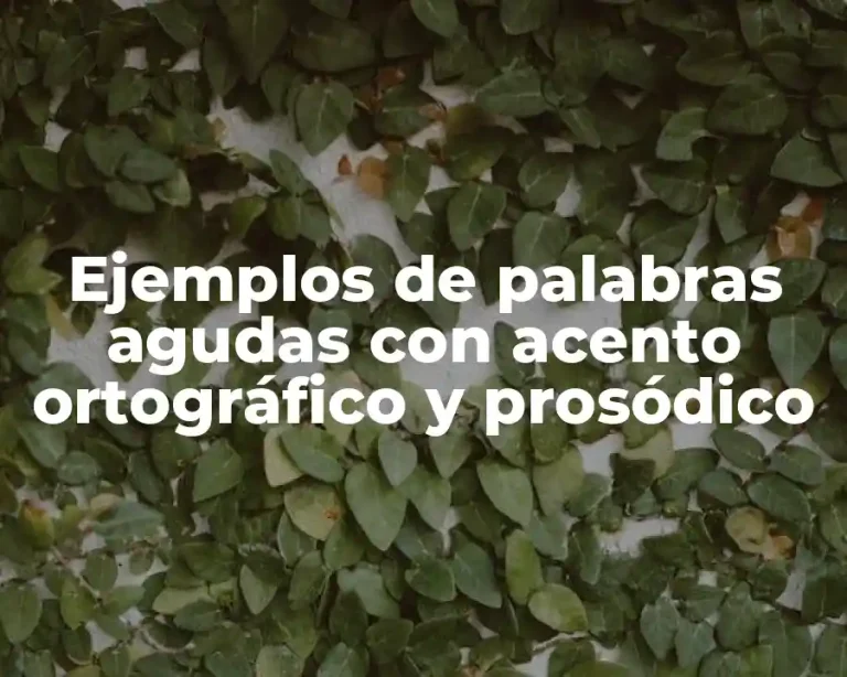 Ejemplos de palabras agudas con acento ortográfico y prosódico