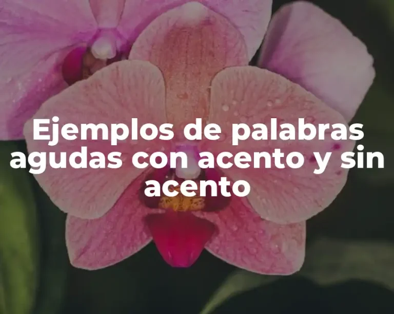 Ejemplos de palabras agudas con acento y sin acento