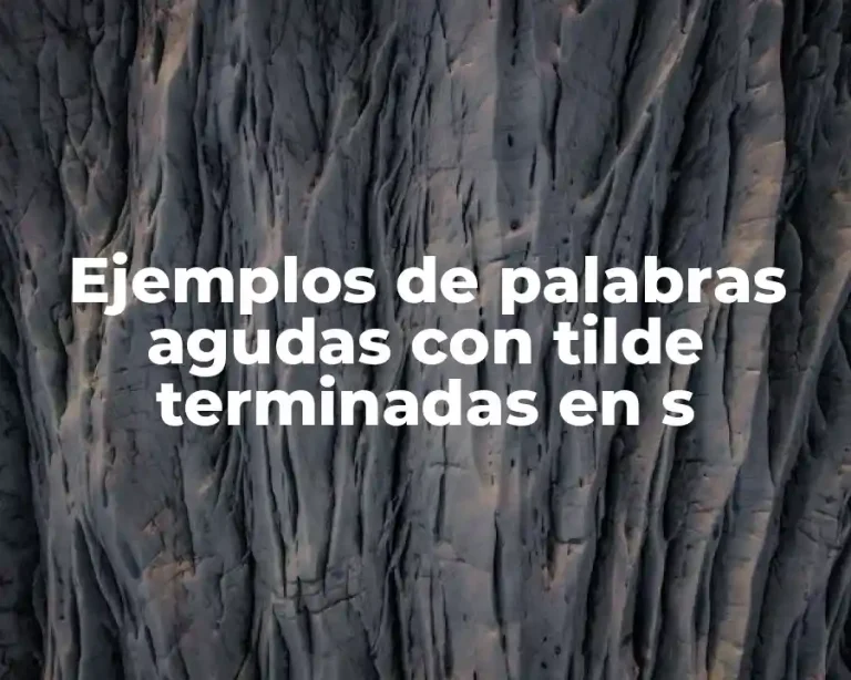 Ejemplos de palabras agudas con tilde terminadas en s