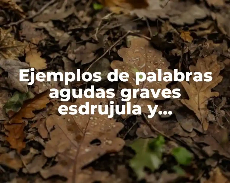 Ejemplos de palabras agudas graves esdrujula y sobresdrújula