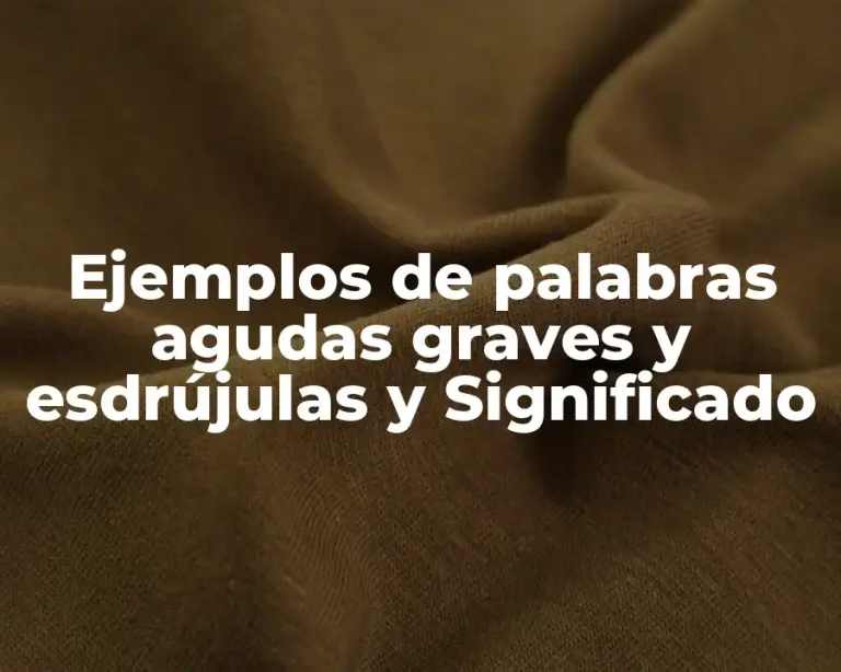 Ejemplos de palabras agudas graves y esdrújulas y Significado