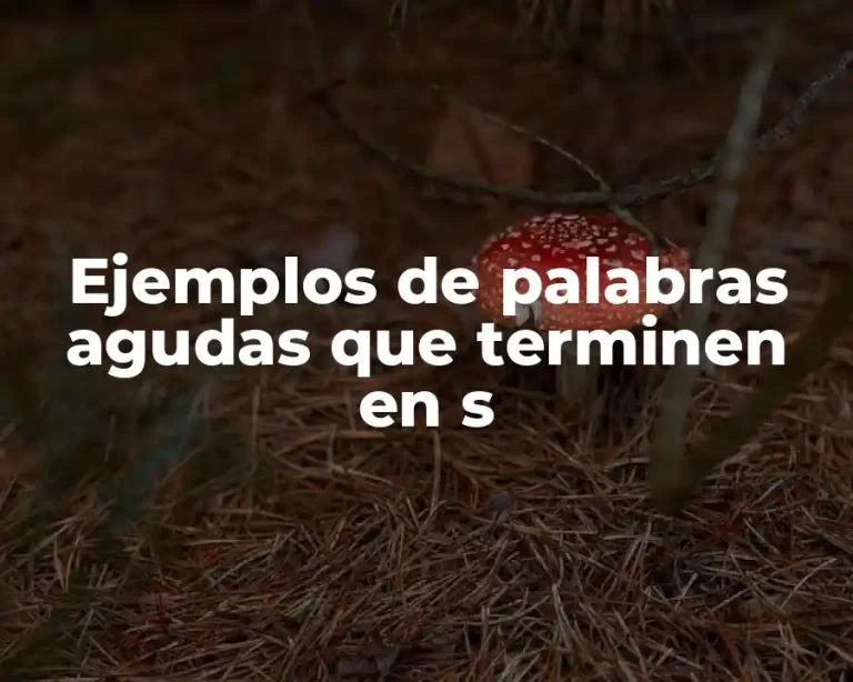 Ejemplos de palabras agudas que terminen en s