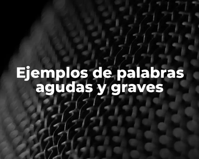 Ejemplos de palabras agudas y graves