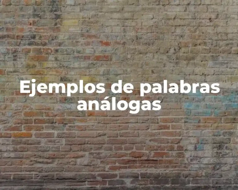Ejemplos de palabras análogas