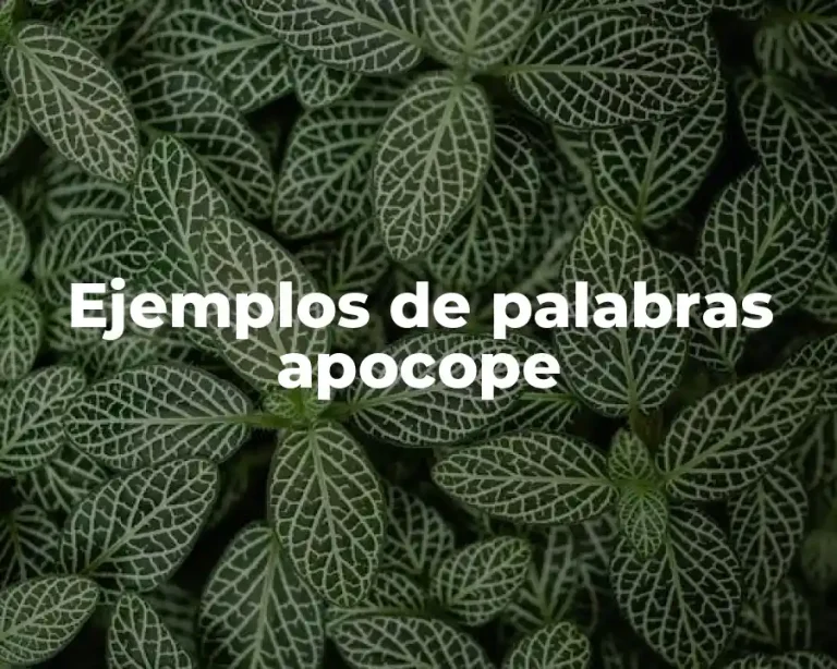 Ejemplos de palabras apocope
