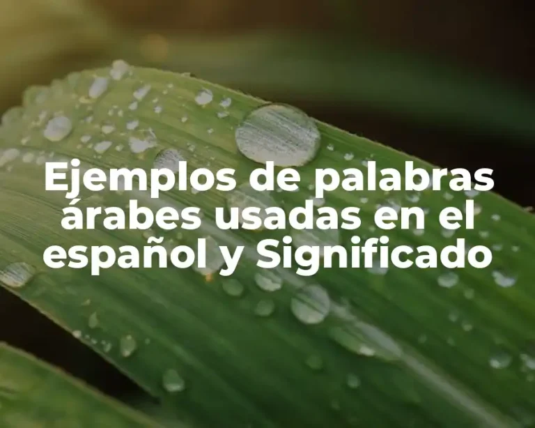 Ejemplos de palabras árabes usadas en el español y Significado
