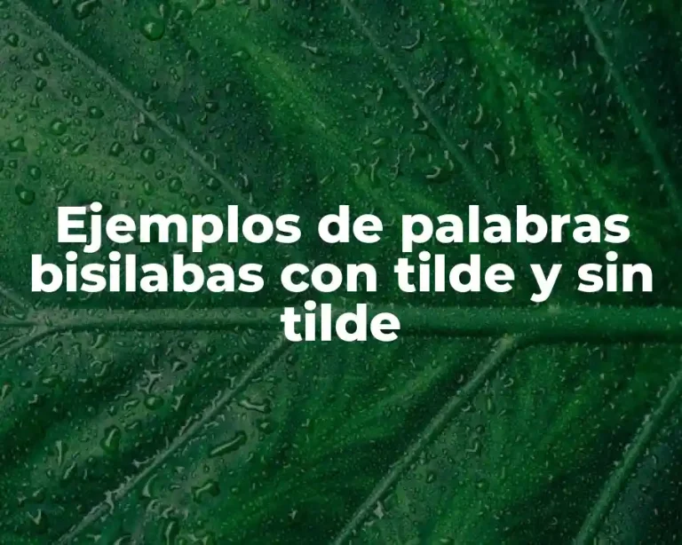 Ejemplos de palabras bisilabas con tilde y sin tilde