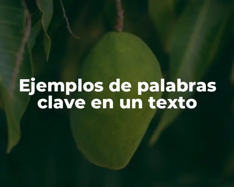 Ejemplos de palabras clave en un texto