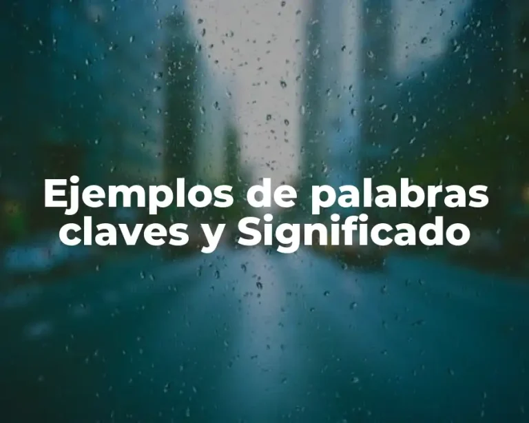 Ejemplos de palabras claves y Significado