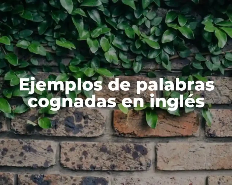Ejemplos de palabras cognadas en inglés
