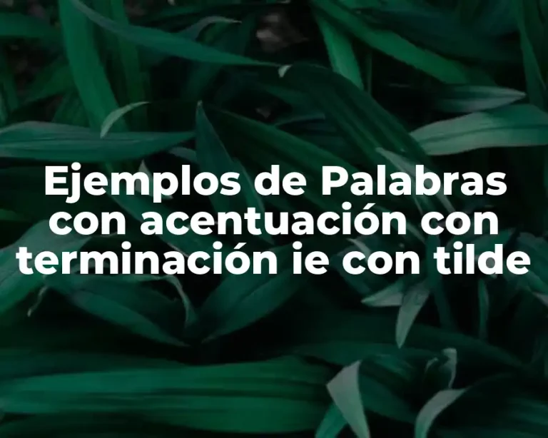 Ejemplos de Palabras con acentuación con terminación ie con tilde