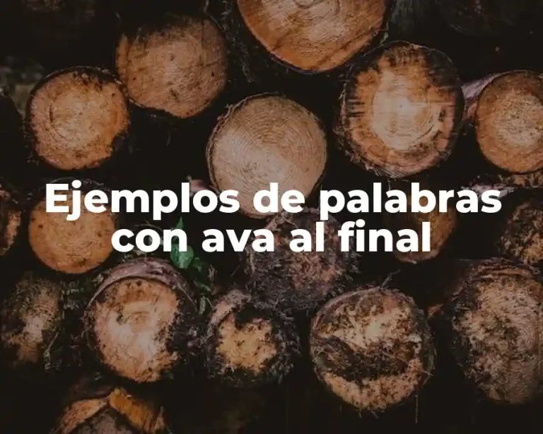 Ejemplos de palabras con ava al final