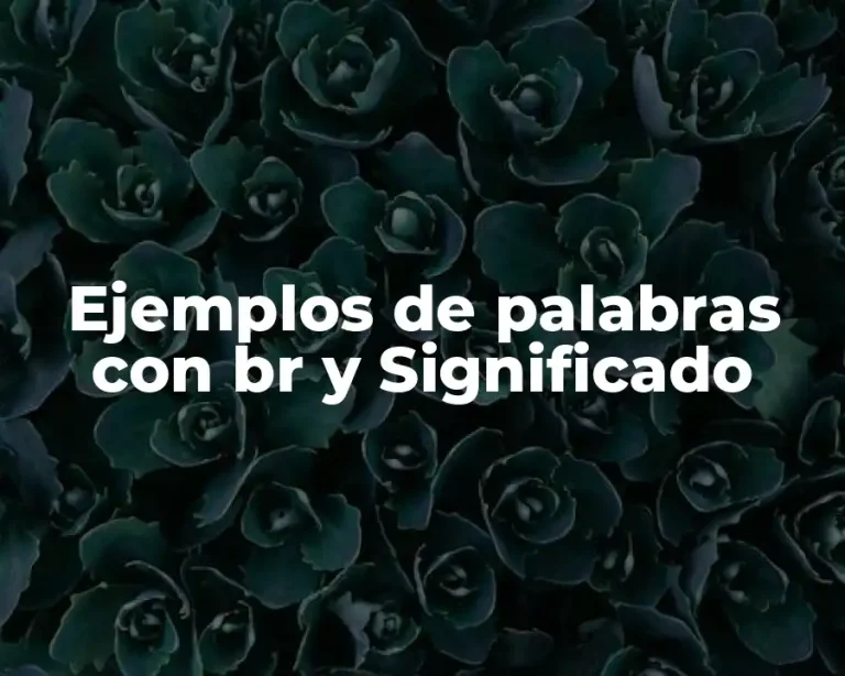Ejemplos de palabras con br y Significado