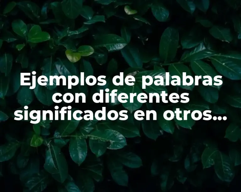 Ejemplos de palabras con diferentes significados en otros países