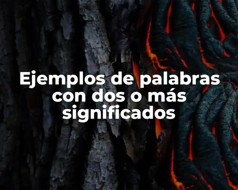 Ejemplos de palabras con dos o más significados