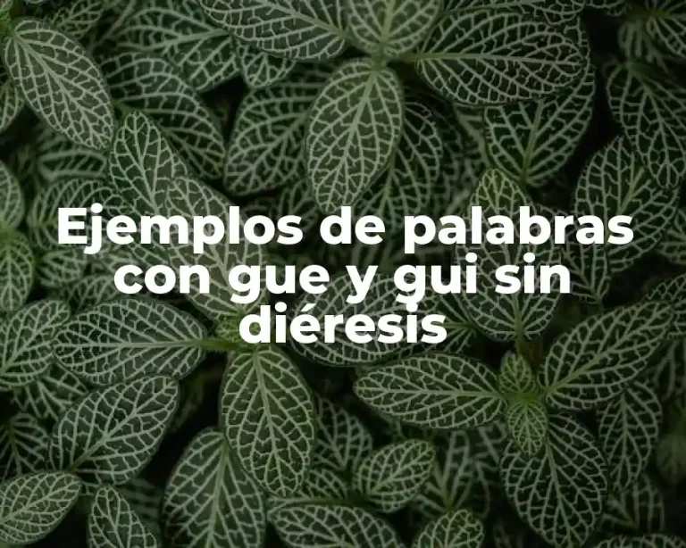Ejemplos de palabras con gue y gui sin diéresis