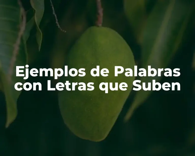 Ejemplos de Palabras con Letras que Suben