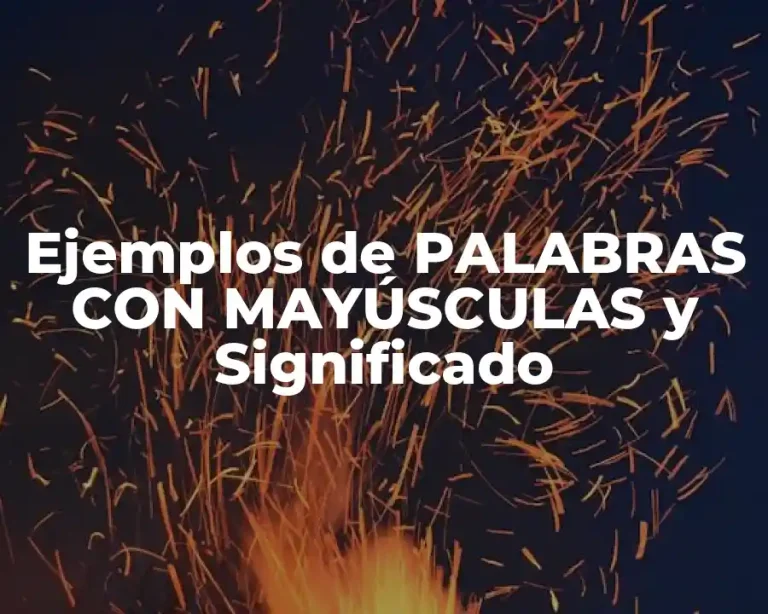 Ejemplos de PALABRAS CON MAYÚSCULAS y Significado