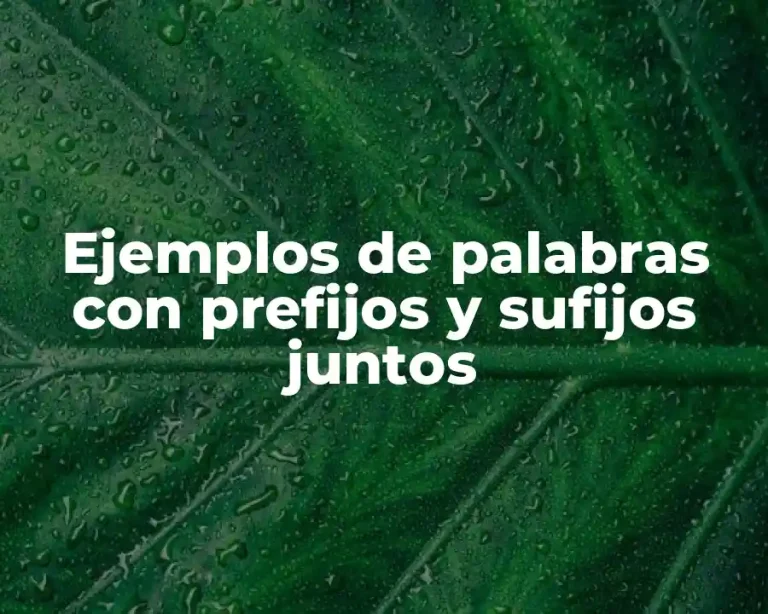 Ejemplos de palabras con prefijos y sufijos juntos