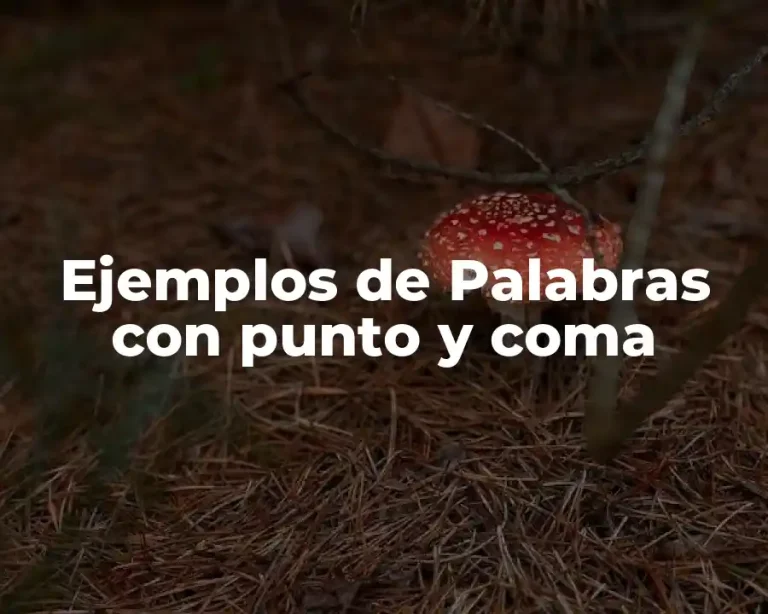 Ejemplos de Palabras con punto y coma