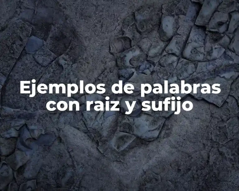 Ejemplos de palabras con raiz y sufijo