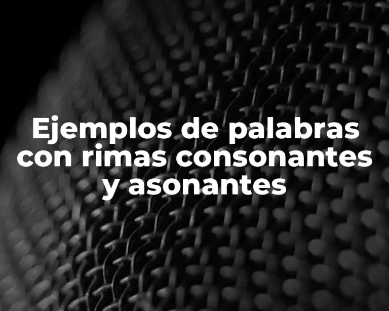 Ejemplos de palabras con rimas consonantes y asonantes