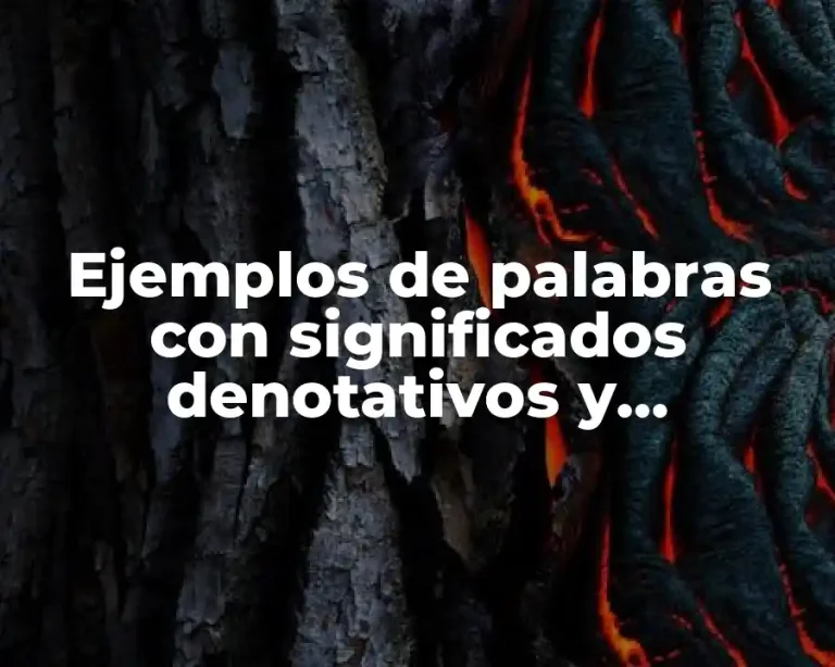 Ejemplos de palabras con significados denotativos y connotativos y Significado