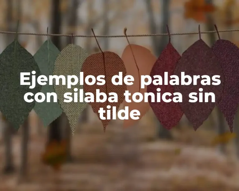 Ejemplos de palabras con silaba tonica sin tilde
