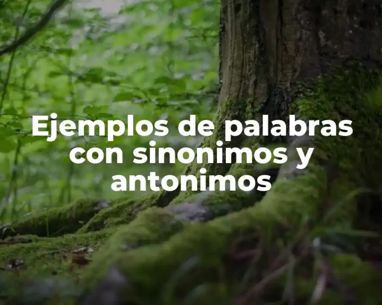 Ejemplos de palabras con sinonimos y antonimos