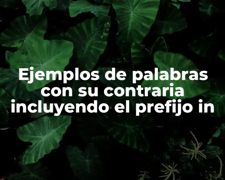 Ejemplos de palabras con su contraria incluyendo el prefijo in
