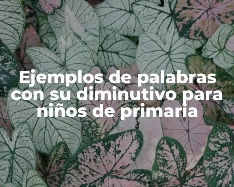 Ejemplos de palabras con su diminutivo para niños de primaria