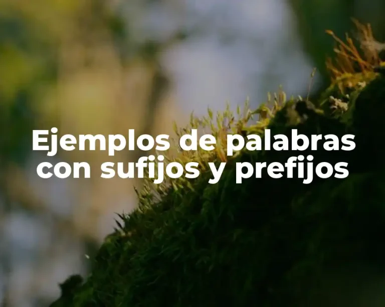 Ejemplos de palabras con sufijos y prefijos