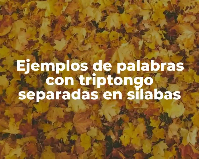 Ejemplos de palabras con triptongo separadas en silabas