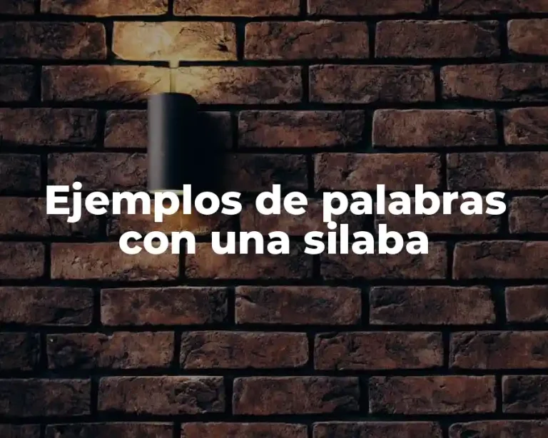 Ejemplos de palabras con una silaba