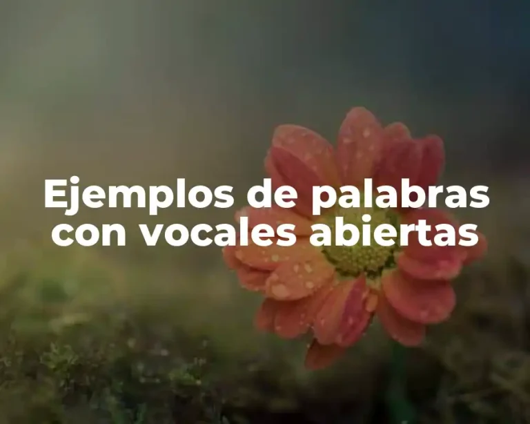 Ejemplos de palabras con vocales abiertas