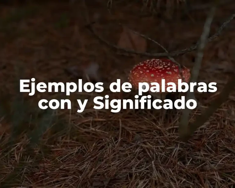 Ejemplos de palabras con y Significado