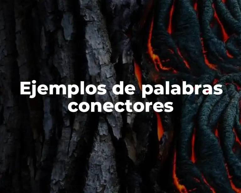 Ejemplos de palabras conectores